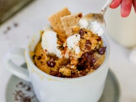 Gluten Free S’mores Mug Cake Recipe